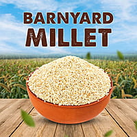 SV Kuthiraivali Barnyard Millet SV Kuthiraivali Barnyard Millet