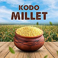 SV Homemade Varagu Kodo Millet SV Homemade Varagu Kodo Millet