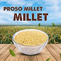 Proso Millet 1 Kg Proso Millet 1 Kg